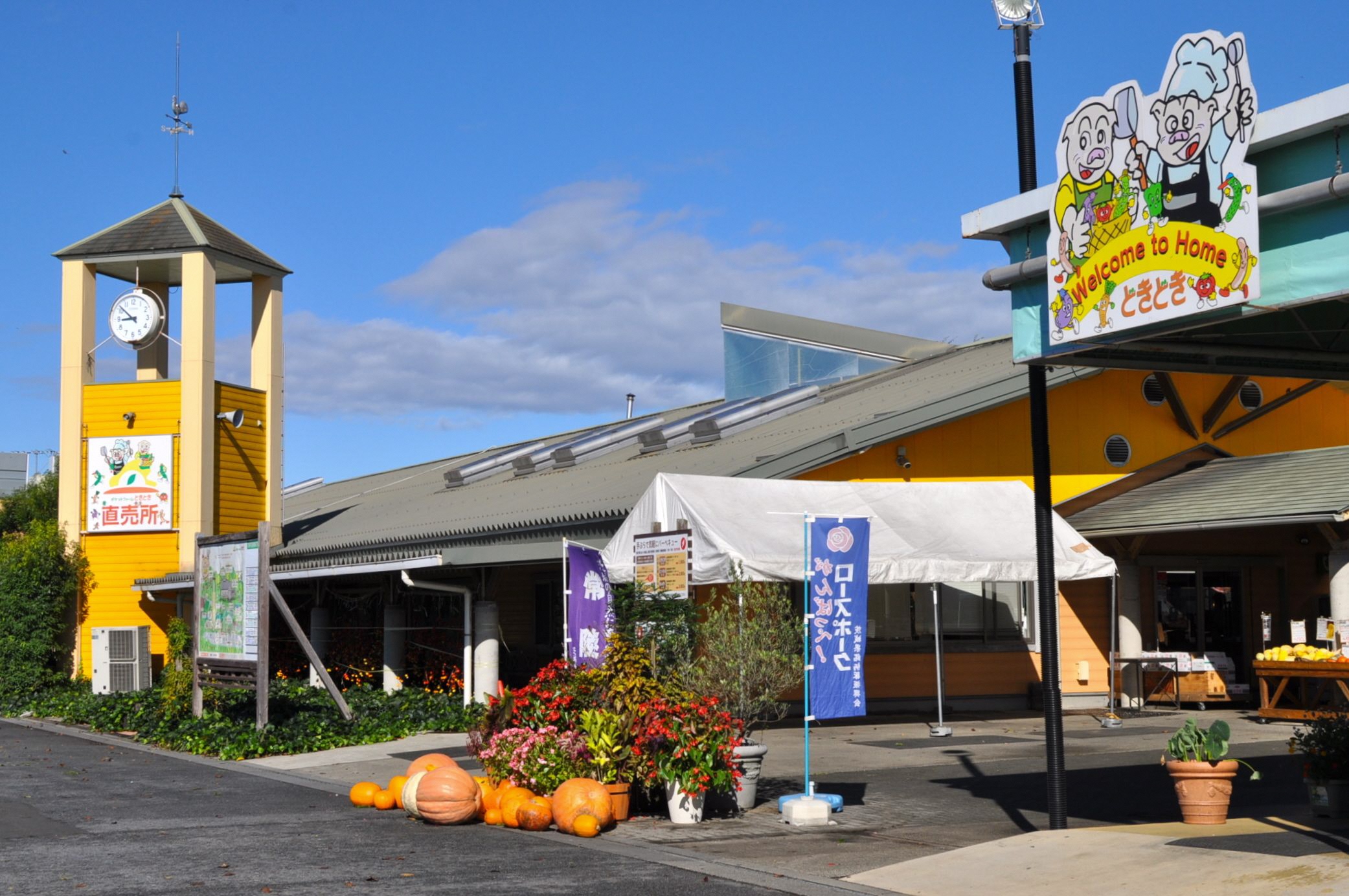 ポケットファームどきどき