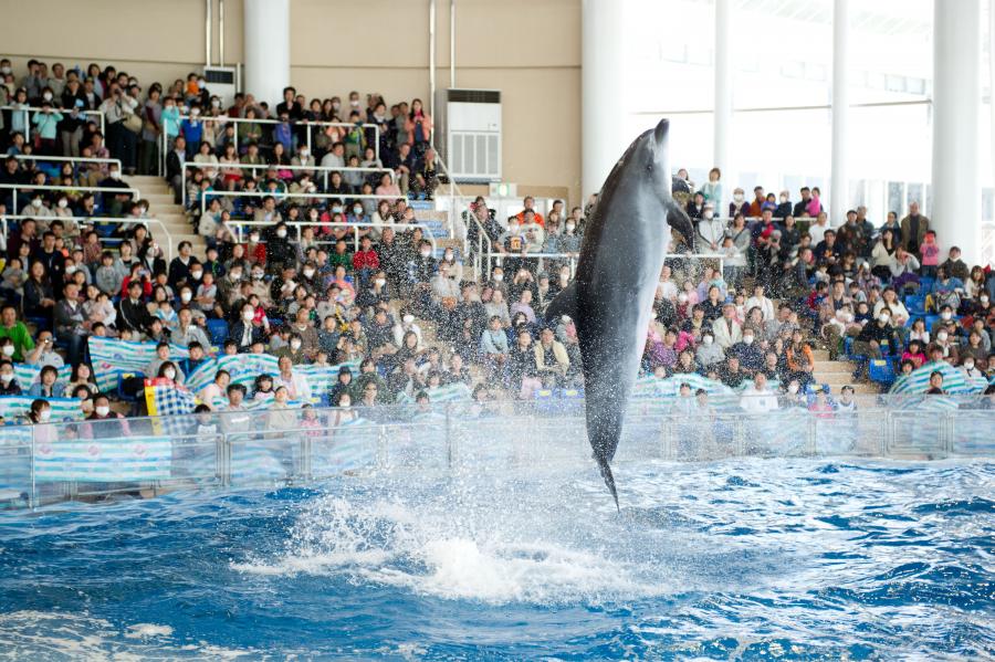 アクアワールド茨城県大洗水族館