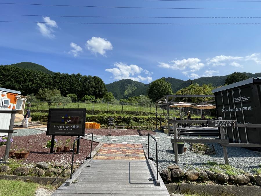 尾鷲市・おわせむかい農園
