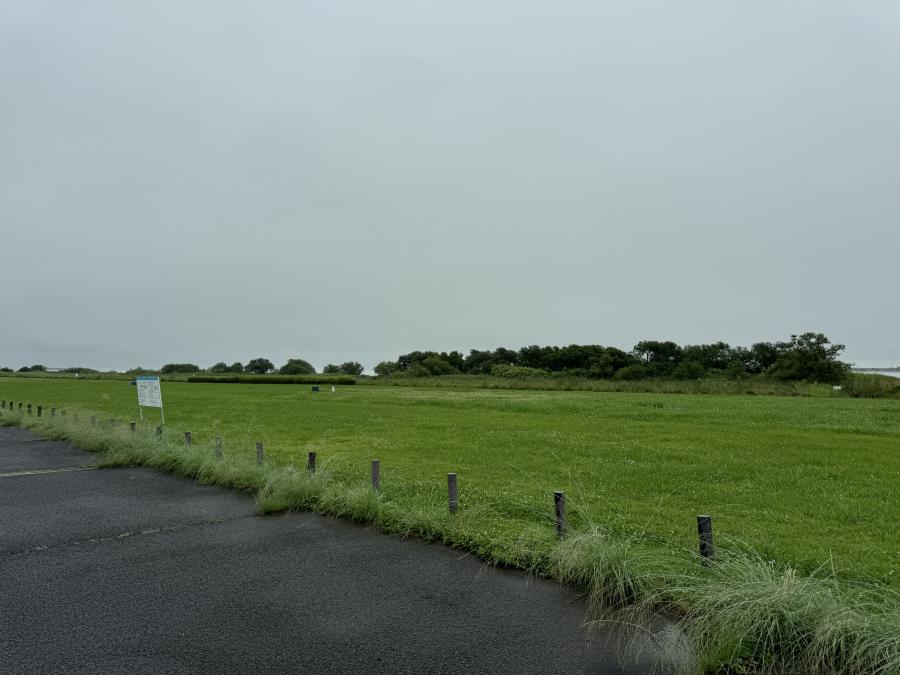 東海広場 西エリア バーベキュー場