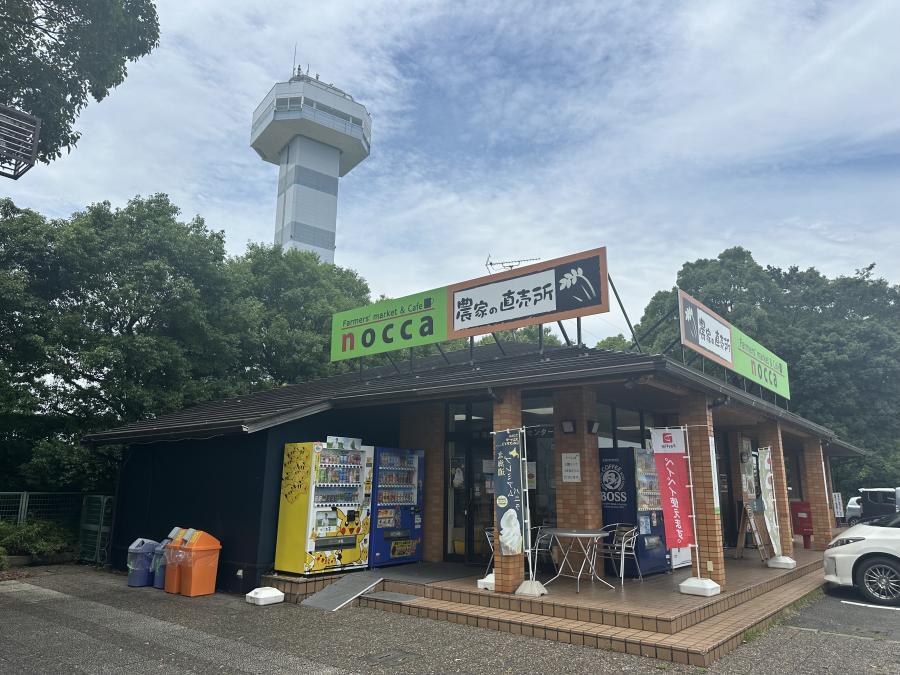 水と緑の館・展望タワー