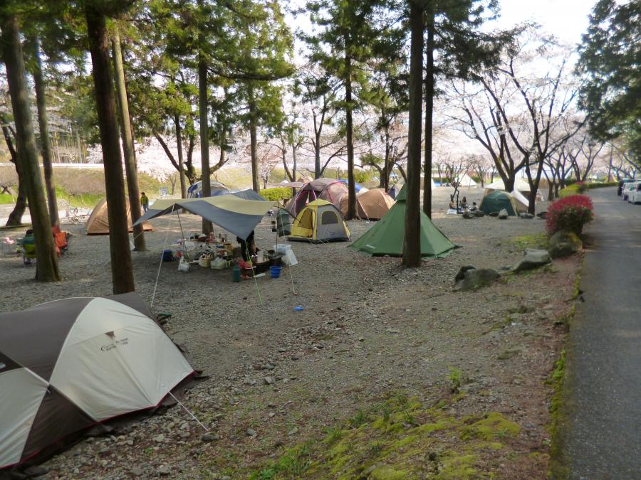大津谷公園キャンプ場