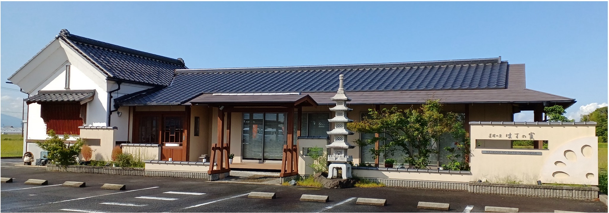 蓮根の里　はすの実