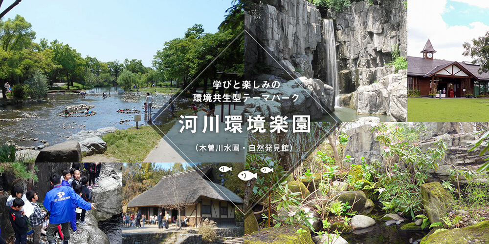 河川環境楽園