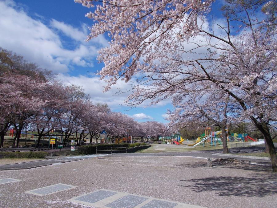 木曽川扶桑緑地公園
