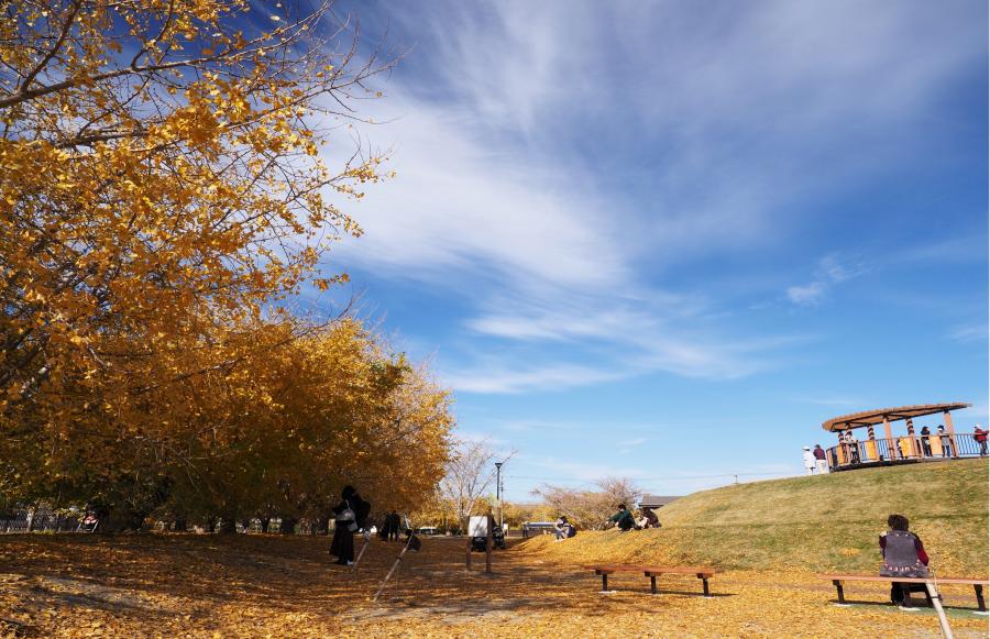 祖父江ぎんなんパーク