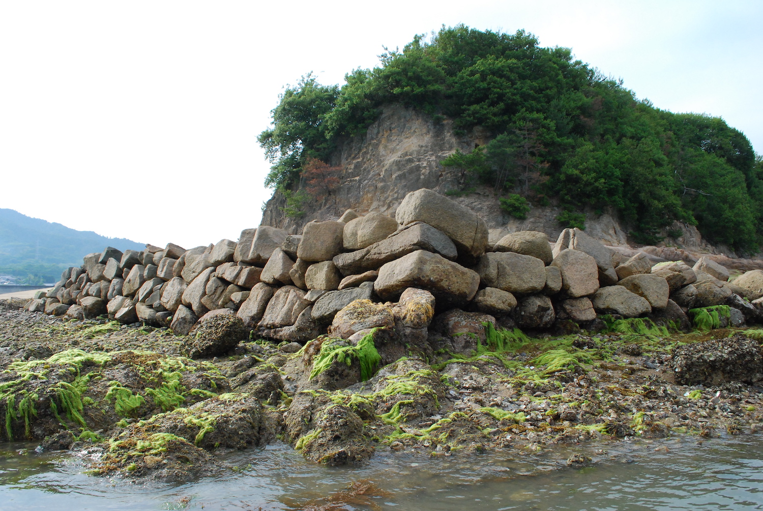 甘崎城跡がみえるポイント