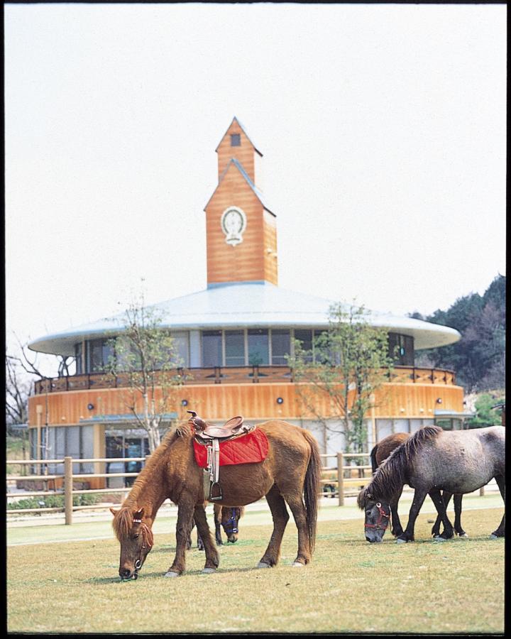 野間馬ハイランド