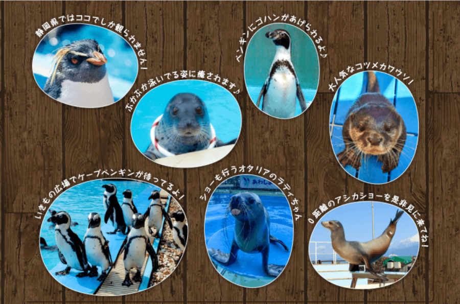 あわしまマリンパーク（駐車場側）