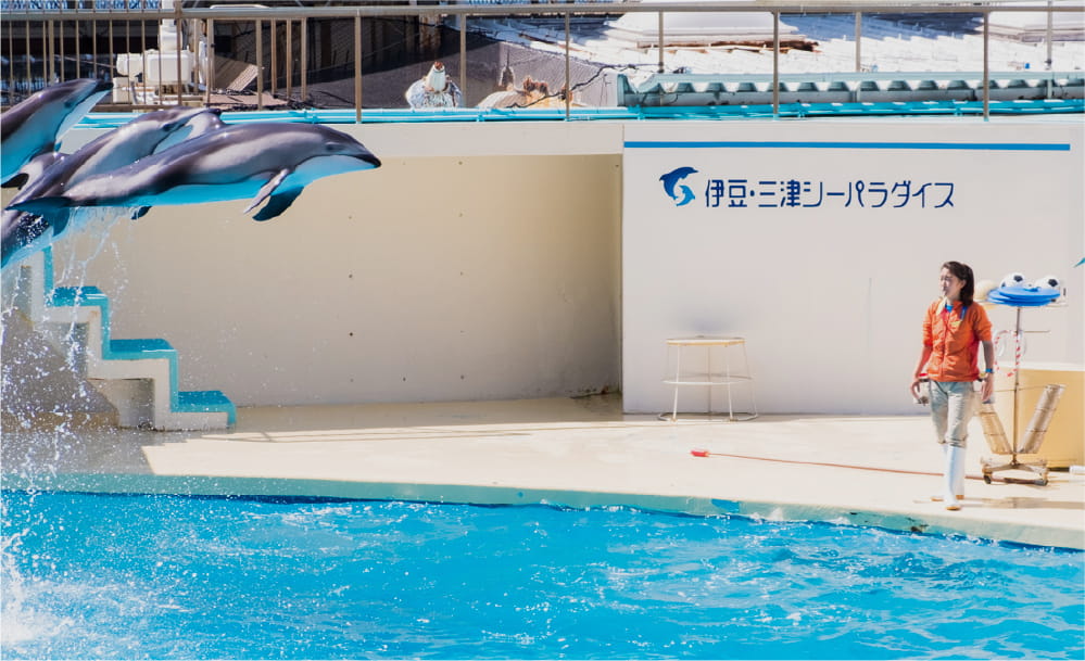 伊豆・三津シーパラダイス
