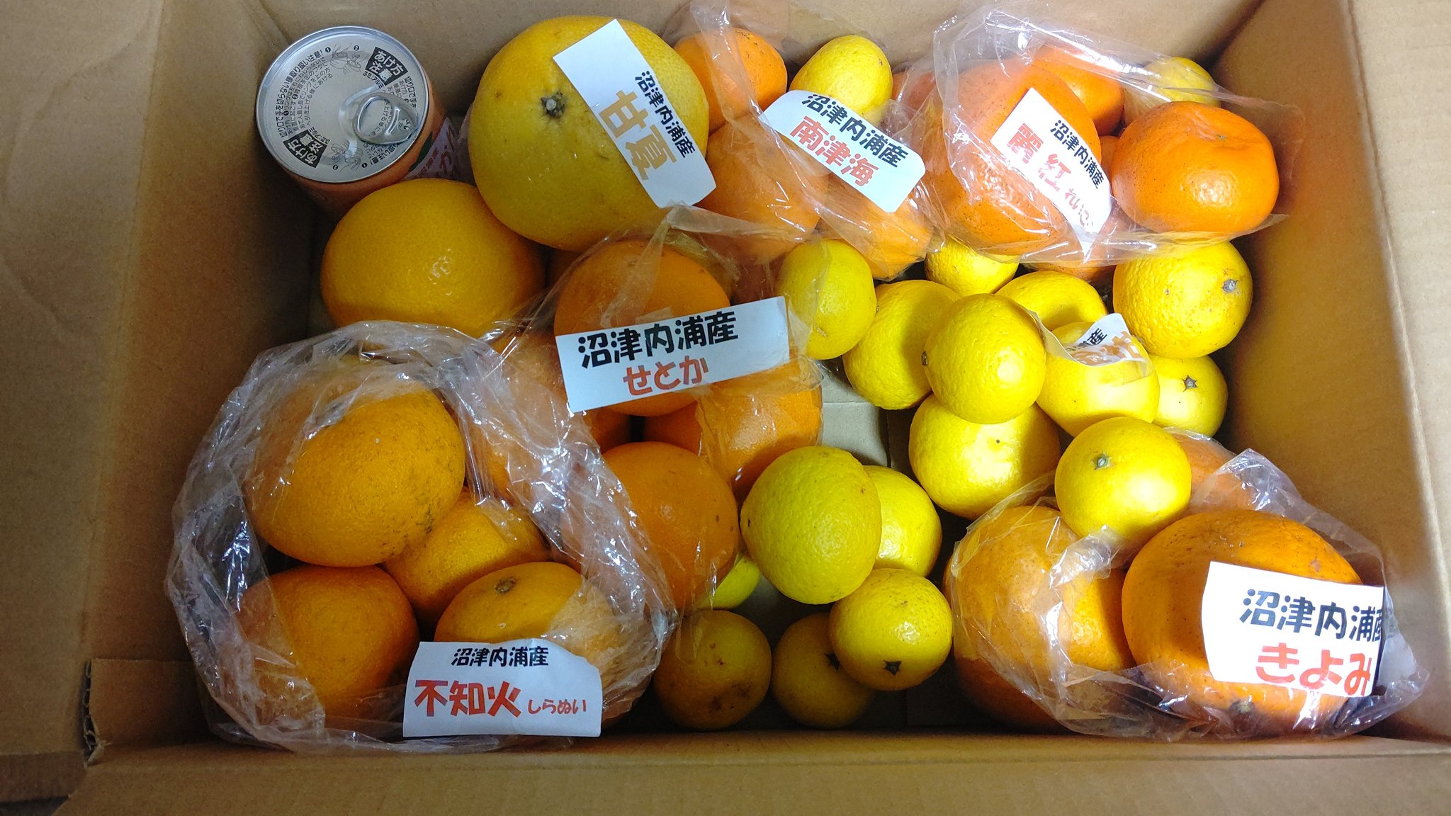 JAふじ伊豆 OH！MOS(オーモス)