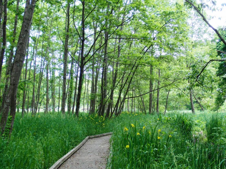 清水洞の上公園