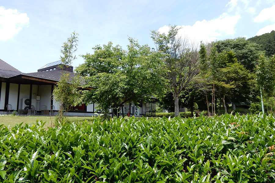 奥久慈茶の里公園