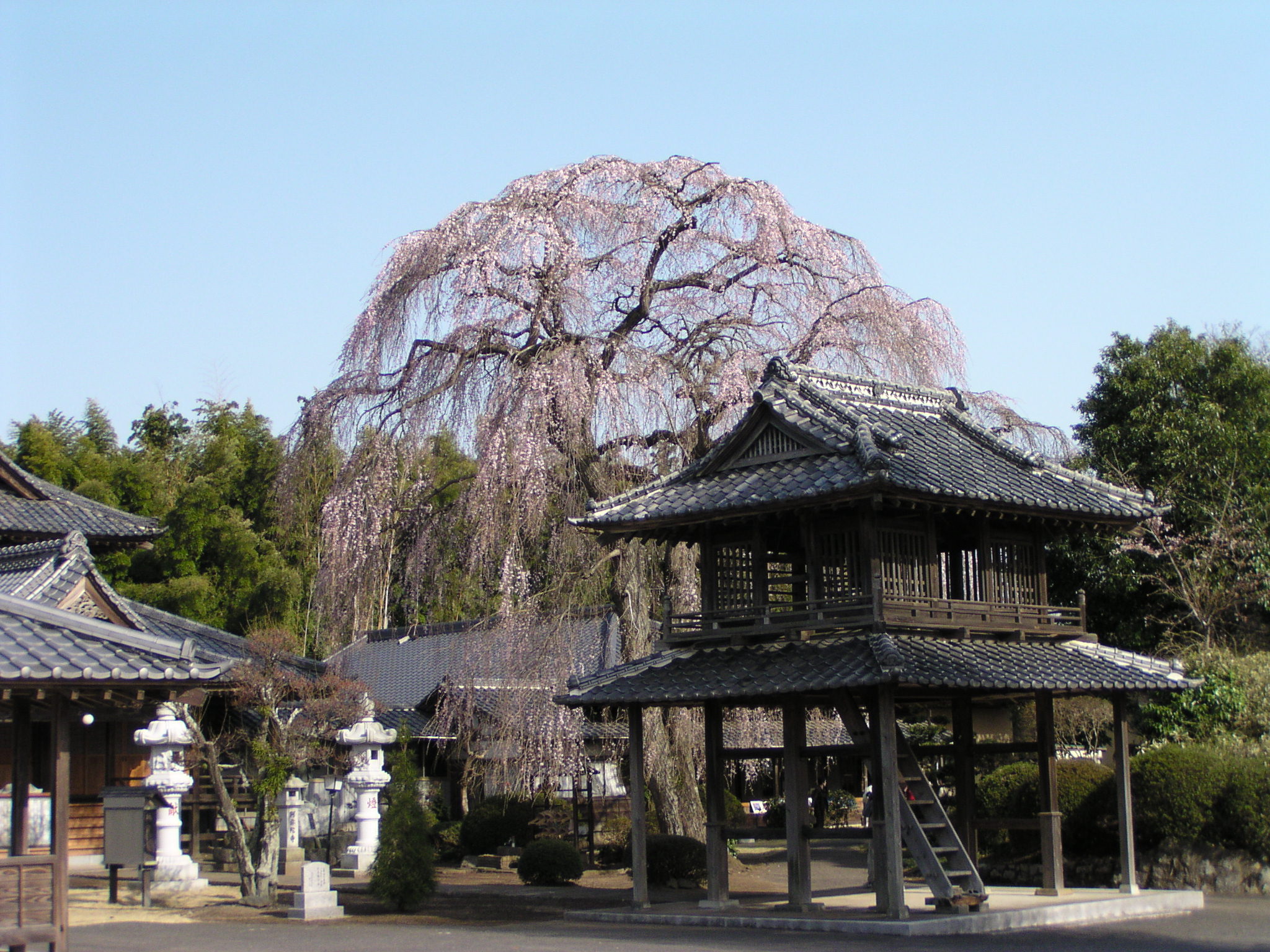 阿弥陀寺