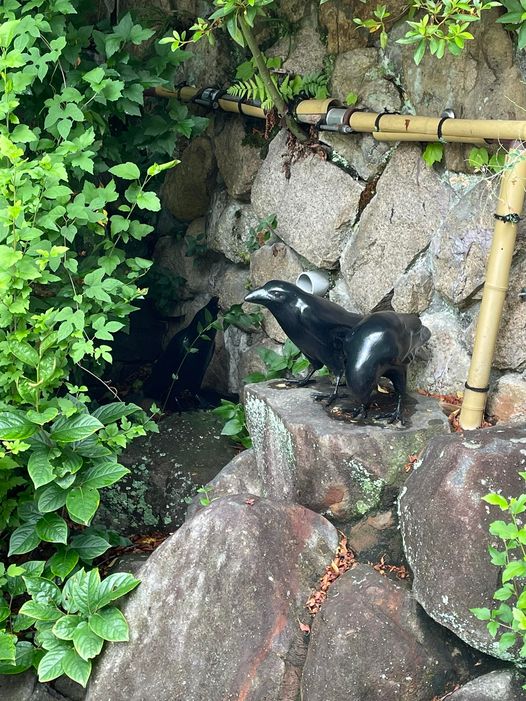 有馬の二神と三羽烏