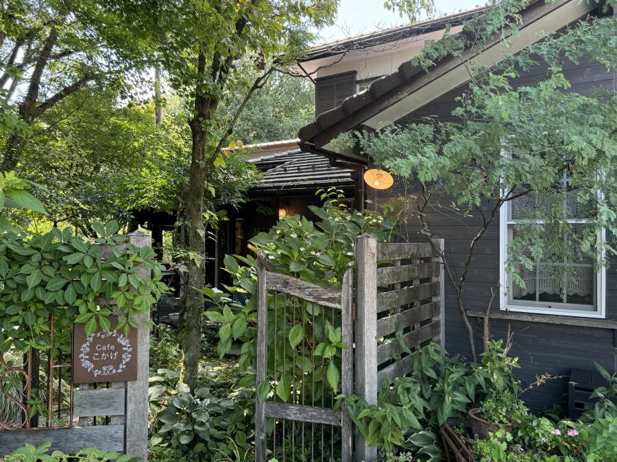 Cafe　こかげ