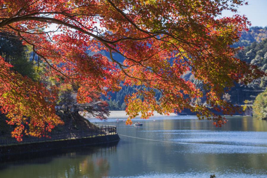 伊自良湖（ラブレイクカフェ）